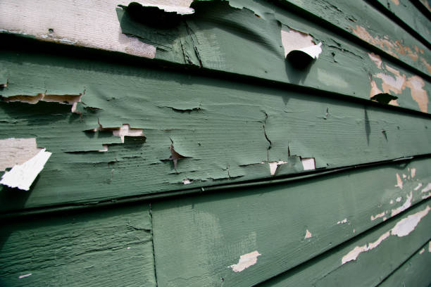 Best Residential Junk Removal  in Orcutt, CA